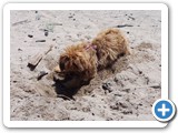 Urlaub 2018 (22)