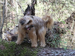 Ayuna im Mai 2019