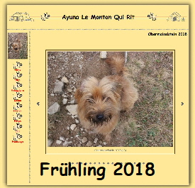 Link Frhling 2018