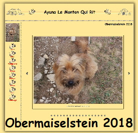 Link Frhling 2018